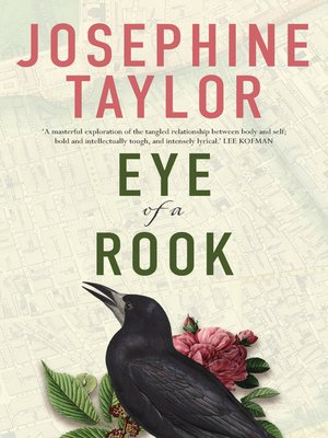 cover image of Eye of a Rook